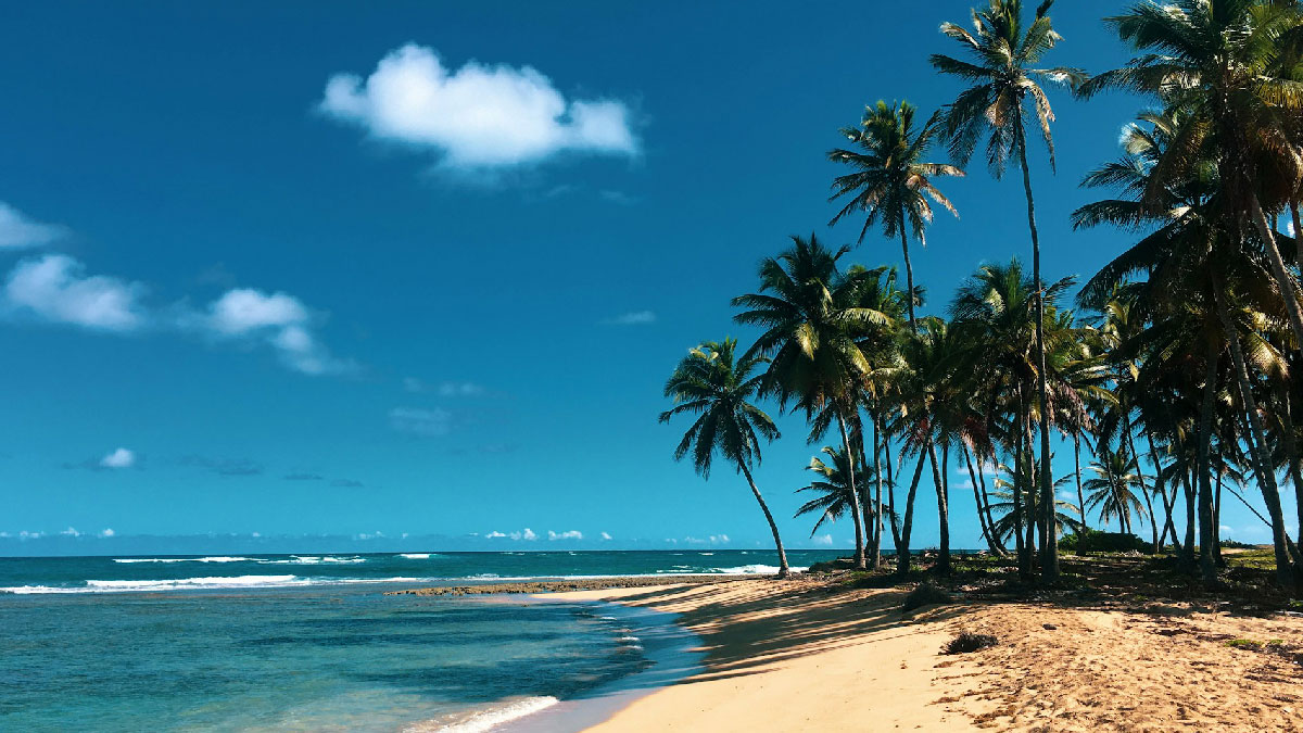 republica dominicana