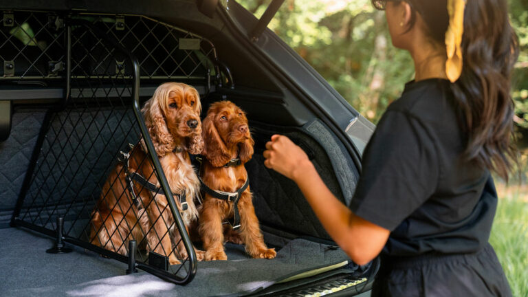 Bentley accesorios mascotas (Foto: Bentley)