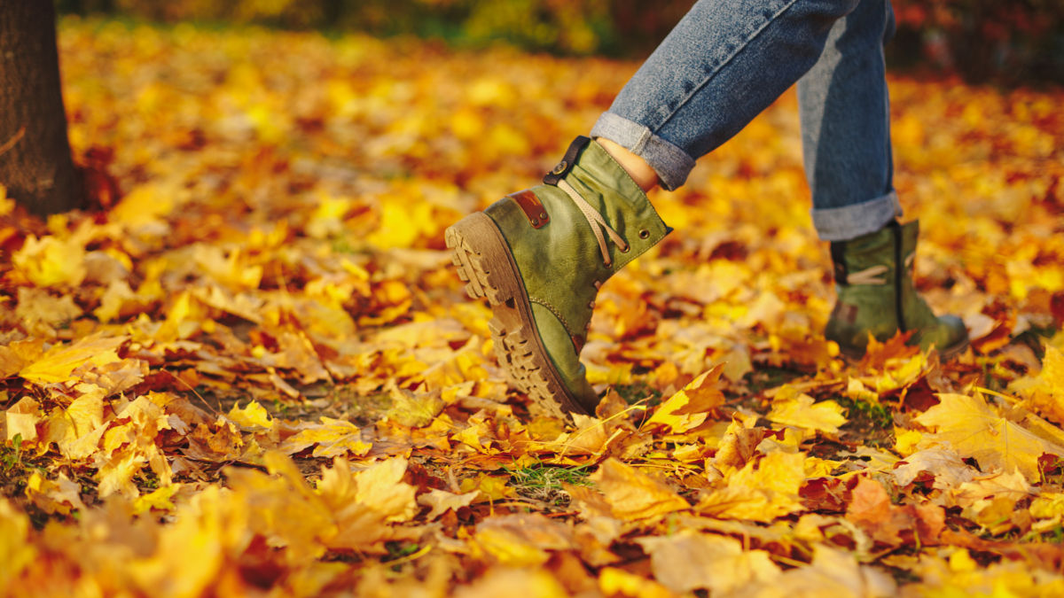 equinoccio de septiembre otoño (Foto: Freepik)