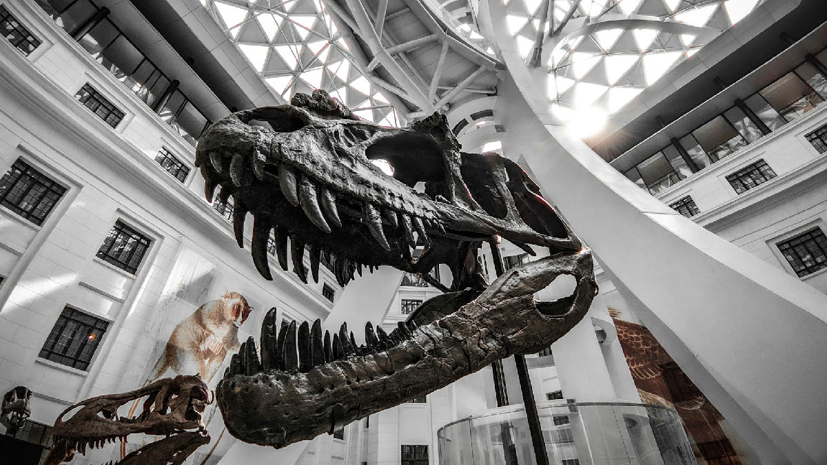 museo historia nueva york