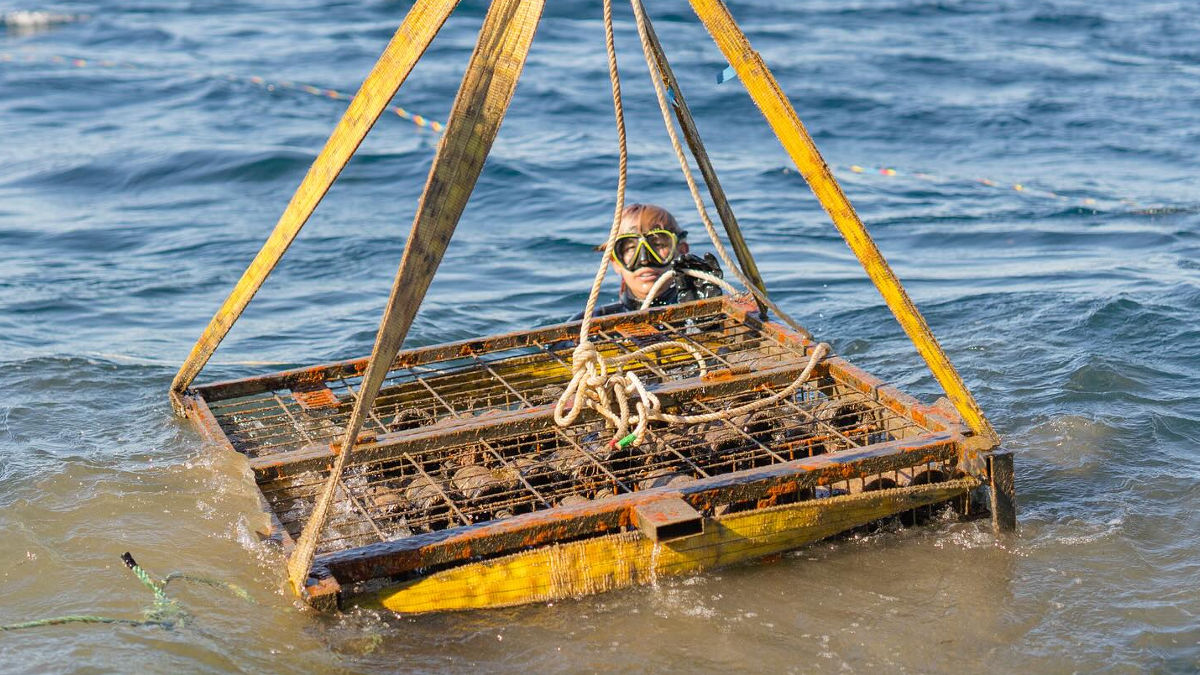 (Foto: Bodega Submarina del Mediterráneo)