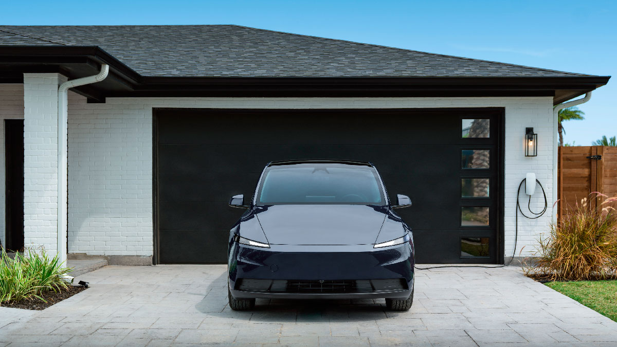 model y standard tesla