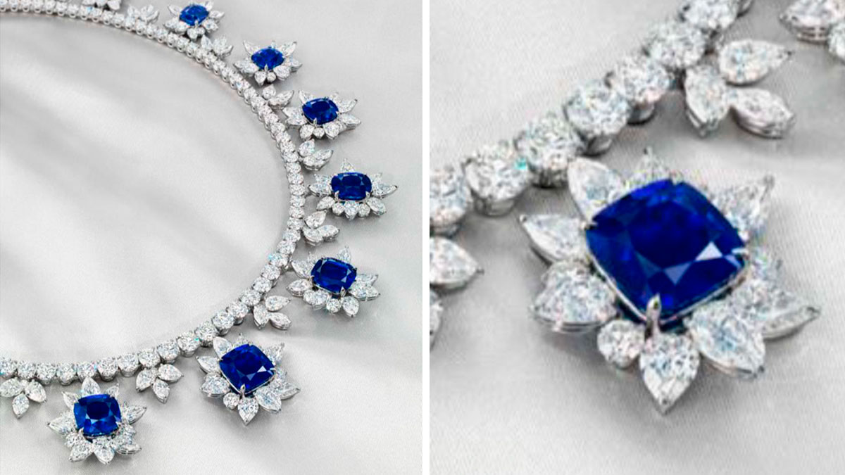 The Royal Blue