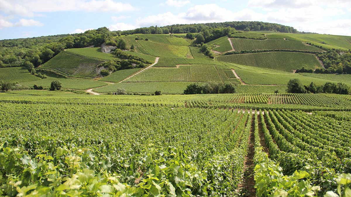Les Avisés, el hotel de Jacques Selosse (Foto: Hotel Les Avisés)
