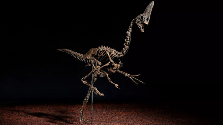 Christie’s Spike (Foto: Christie’s)