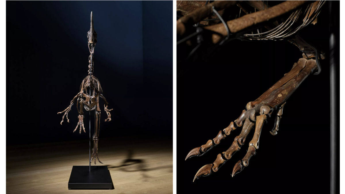 Christie’s Spike (Foto: Christie’s)