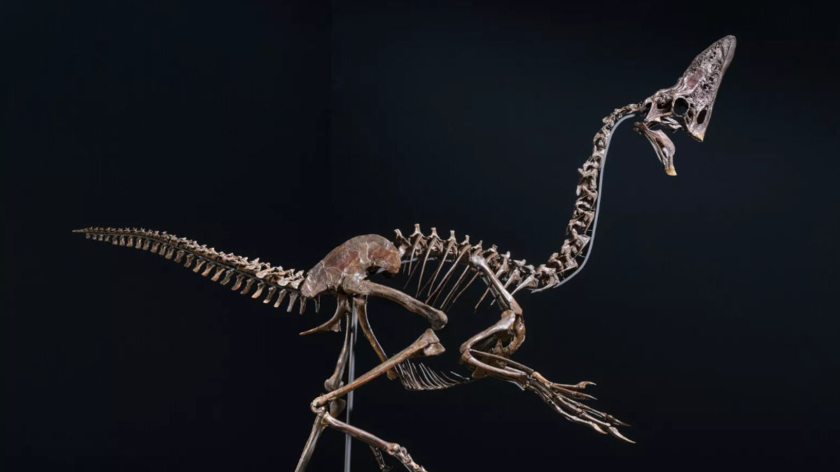 Christie’s Spike (Foto: Christie’s)