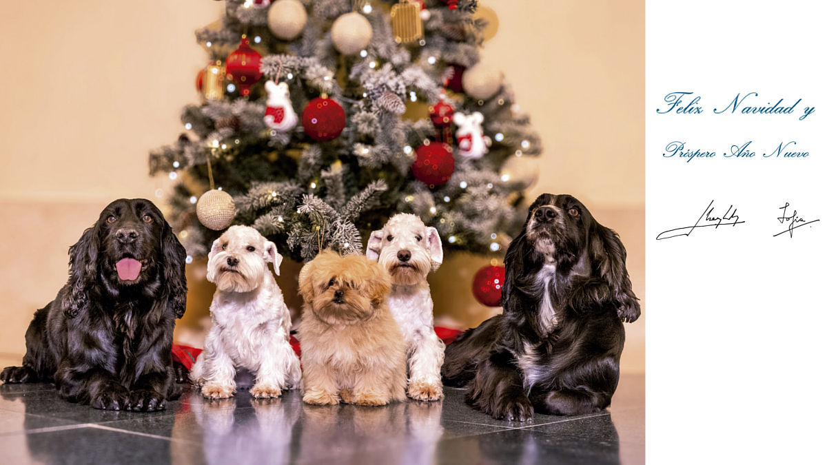 Felicitación Navidad Reyes (Foto; Casa Real)