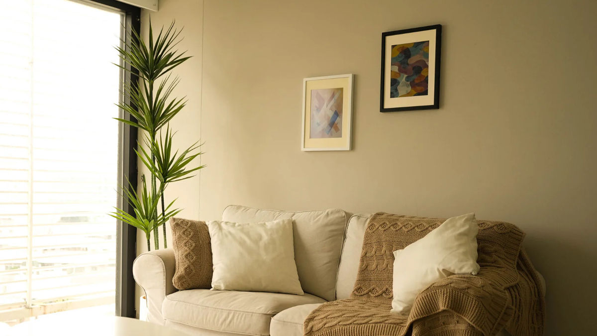 Una obra de arte cada día con Reflection Frame