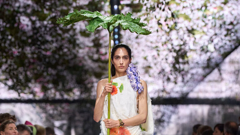 Desfile Dior