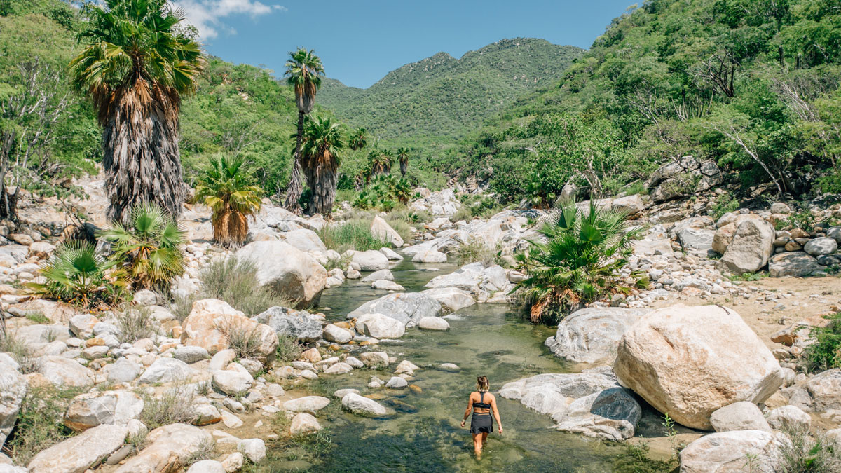 los cabos sierra la laguna