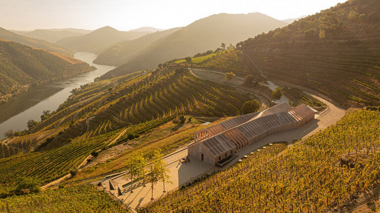 Bodega Quinta de Adorigo (Fotos: Fernando Guerra)