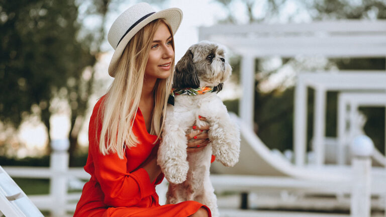 Mascostas Perro lujo (Foto: Freepik)