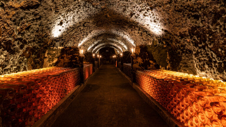 bodega oremus vega sicilia