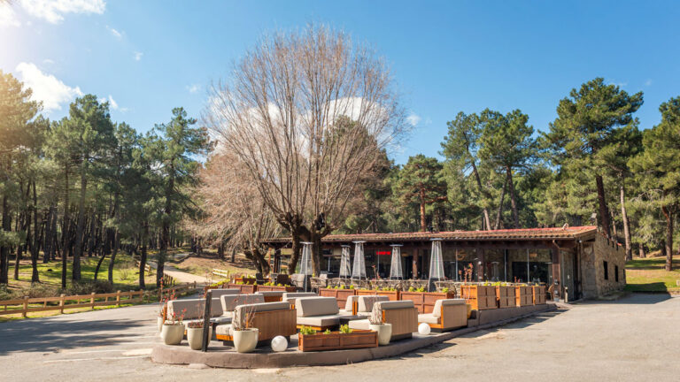 restaurante ruge terraza