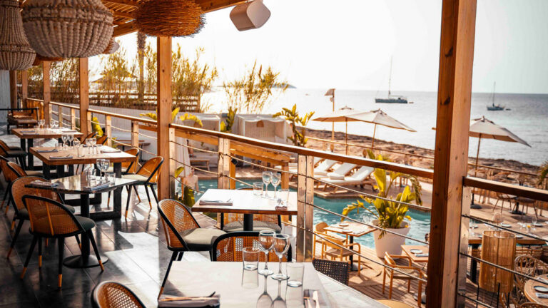 monkey ibiza