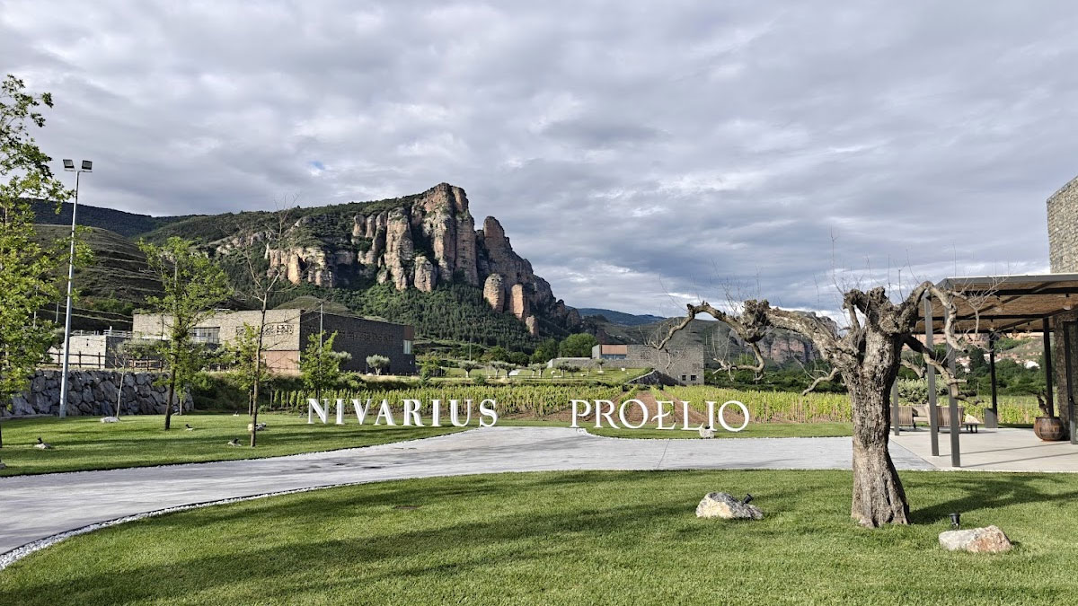 palacios vinos de finca